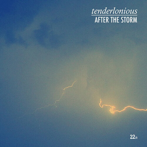 TENDERLONIOUS / テンダーロニアス / AFTER THE STORM