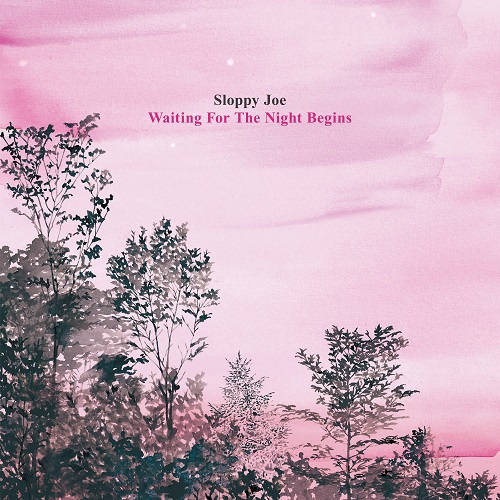 Sloppy Joe / Waiting For The Night Begins(アナログ)