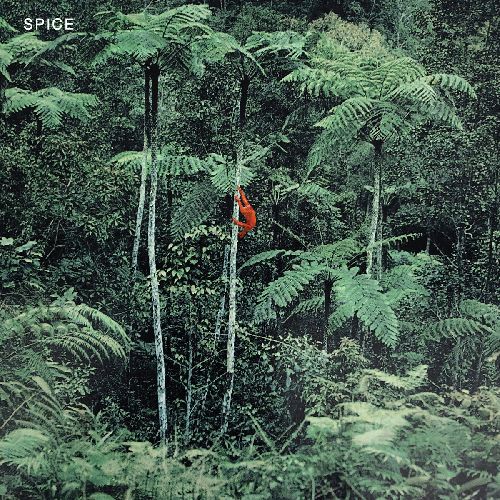 SPICE (INDIE ROCK) / スパイス / SPICE (CD)