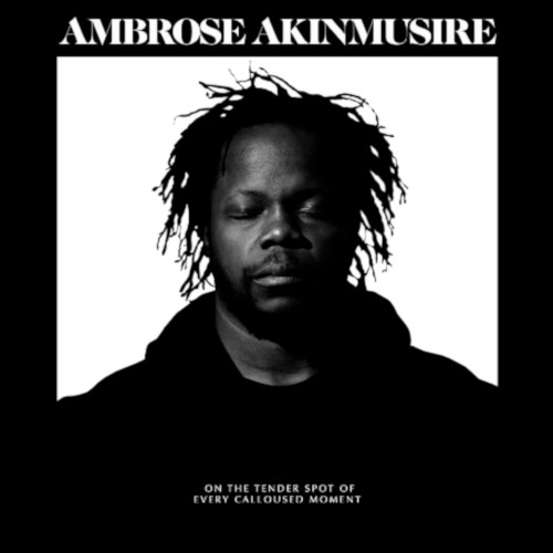 AMBROSE AKINMUSIRE / アンブローズ・アキンムシーレ / On The Tender Spot Of Every Calloused Moment(LP/180g)