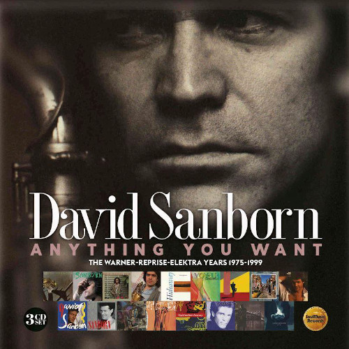 DAVID SANBORN / デヴィッド・サンボーン / Anything You Want: Warner / Reprise / Elektra Years (1975-1999) (3CD)