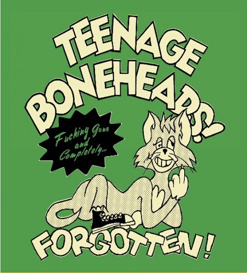 TEENAGE BONEHEADS / Fucking gone and completely...Forgotten! (SKIPPY盤) 