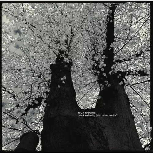 DUX ORCHESTRA / ダックス・オーケストラ / Duck Walks Dog (With Mixed Results)(LP)
