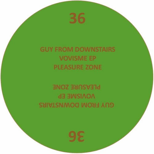GUY FROM DOWNSTAIRS / VOVISME EP