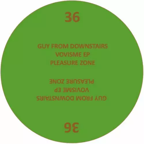 GUY FROM DOWNSTAIRS / VOVISME EP