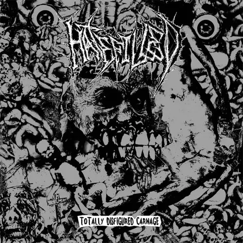HATEFILLED商品一覧｜PUNK｜ディスクユニオン・オンライン