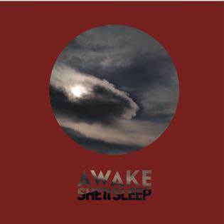 SHE'll SLEEP / AWAKE