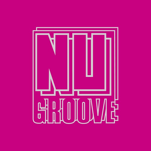 V.A. (NU GROOVE) / NU GROOVE RECORDS CLASSICS VOLUME 2