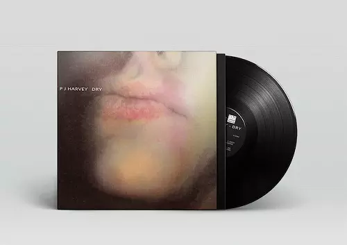 PJ HARVEY / PJ ハーヴェイ / DRY