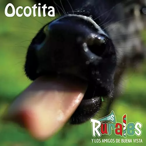 LOS RURALES Y LOS AMIGOS DE BUENAVISTA / ロス・ルラレス & ロス・アミーゴス・デ・ブエナビスタ / OCOTITA