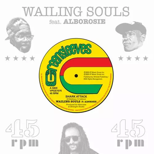 WAILING SOULS / ウェイリング・ソウルズ商品一覧｜ディスク