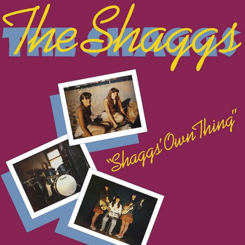 SHAGGS / シャッグス / SHAGGS' OWN THING (CD)