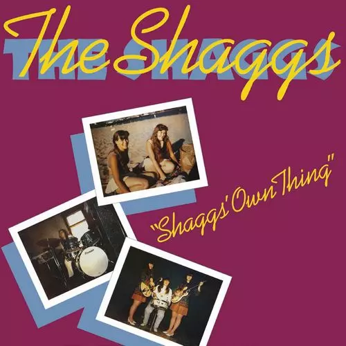 THE SHAGGS LPレコード 新品未開封品 レコード