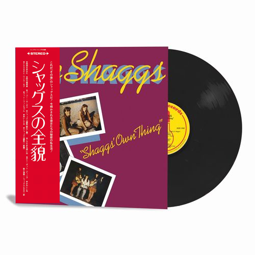 SHAGGS / シャッグス / SHAGGS' OWN THING (LP)