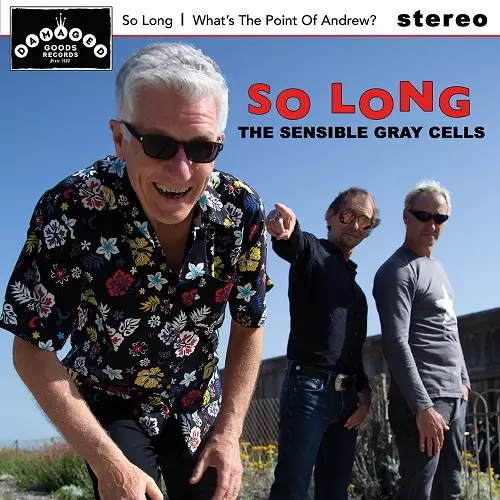 SENSIBLE GRAY CELLS / SO LONG (7")