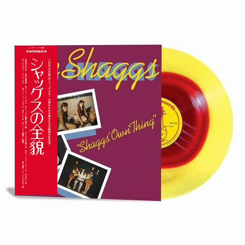 SHAGGS' OWN THING (LP)/SHAGGS/シャッグス/ディスクユニオン初回限定 