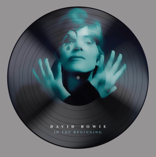 DAVID BOWIE / デヴィッド・ボウイ / IN THE BEGINNING (PICTURE VINYL) 
