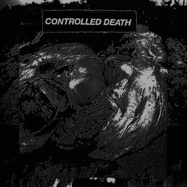 CONTROLLED DEATH / コントロールド・デス / BEAUTIFUL DECOMPOSITION