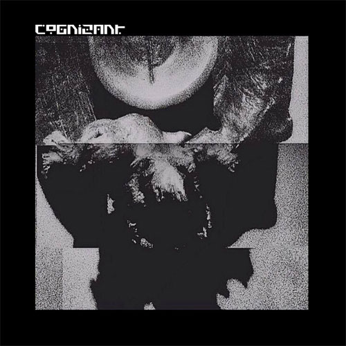 COGNIZANT / COGNIZANT (LP)