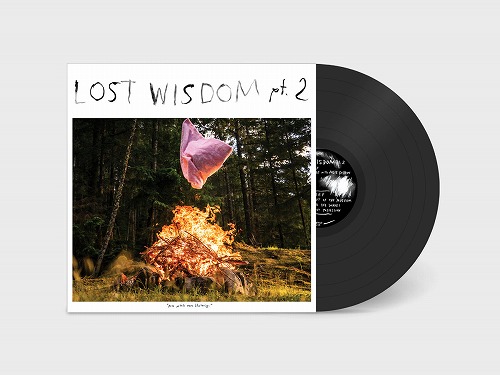 MOUNT EERIE WITH JULIE DOIRON / マウント・イアリ WITH ジュリー・ドワロン / LOST WISDOM PT. 2 (LP)