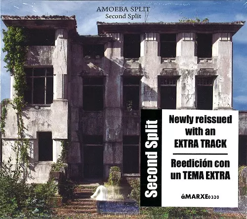 AMOEBA SPLIT / SECOND SPLIT: REEDICION CON UN TEMA EXTRA