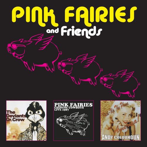 PINK FAIRIES / ピンク・フェアリーズ / PINK FARIES AND FRIENDS (3CD)