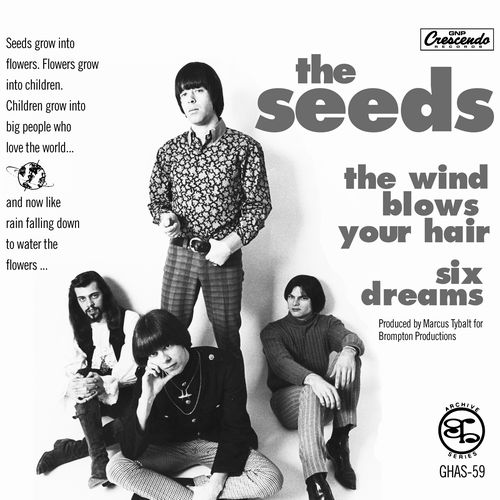 SEEDS / シーズ / THE WIND BLOWS YOUR HAIR/SIX DREAMS (7")