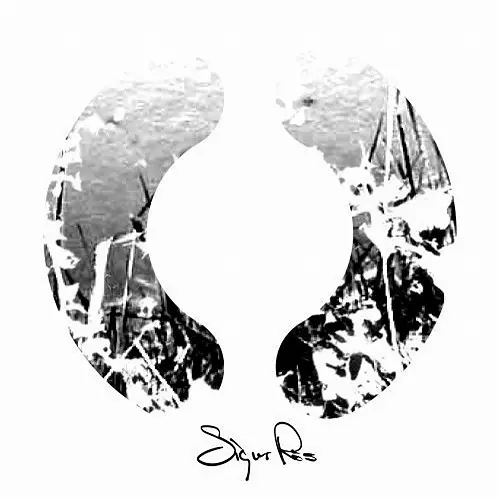 Sigur Rós シガーロス　RYAN・MCGINLEY 残響　ポスター Sigur Rós シガーロス RYAN・MCGINLEY 残響 ポスター 聞きほれる