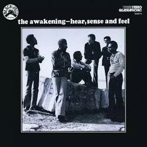 Hear Sense & Feel (LP)/AWAKENING/アウェイクニング/REAL GONEから