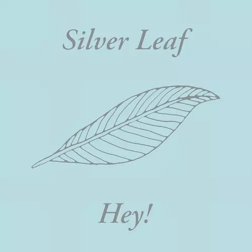 SILVER LEAF / HEY!