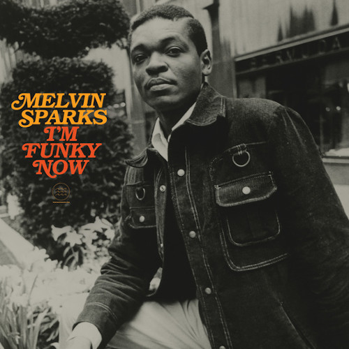 MELVIN SPARKS / メルヴィン・スパークス / I’m Funky Now (LP/180g/CLEAR VINYL)