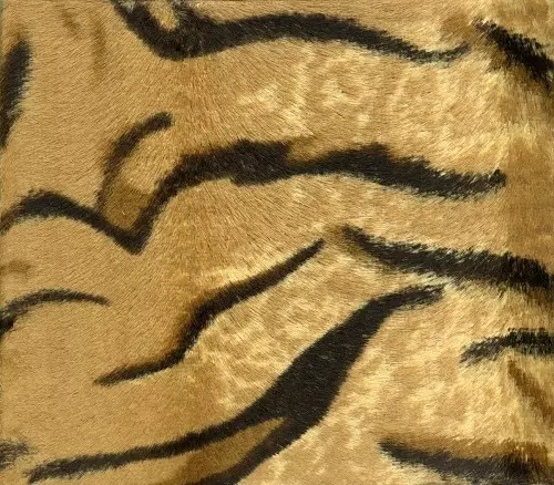 ザ・ハイロウズ　↑THE HIGH-LOWS↓　Tigermobileセット ザ・ハイロウズ ↑THE HIGH-LOWS↓ Tigermobileセット