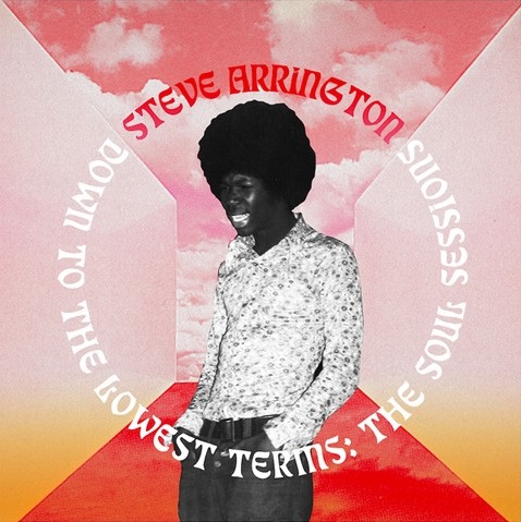 STEVE ARRINGTON / スティーヴ・アーリントン / DOWN TO THE LOWEST TERMS:THE SOUL SESSIONS
