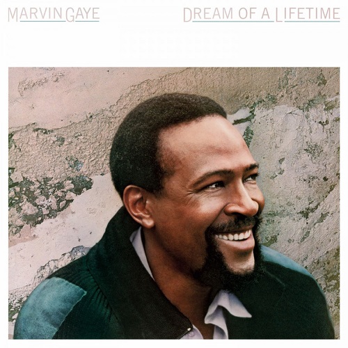 MARVIN GAYE / マーヴィン・ゲイ / DREAM OF A LIFETIME (LTD.COLOR VINYL)