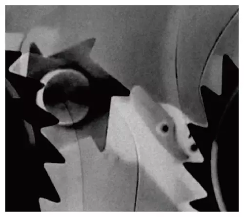 KENTARO HAYASHI / PECULIAR