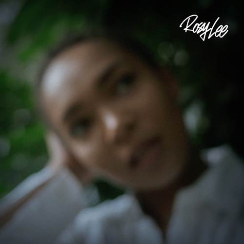 SYRUP (TWIT ONE, TURT & C.TAPPIN) / ROSY LEE "LP"
