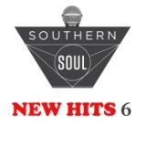 V.A. (SOUTHERN SOUL : NEW HITS) / SOUTHERN SOUL : NEW HITS 6