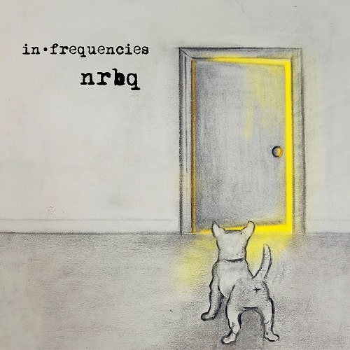 NRBQ / エヌアールビーキュー / IN FREQUENCIES (CD)