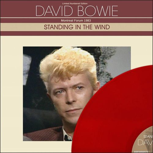 DAVID BOWIE / デヴィッド・ボウイ / STANDING IN THE WIND (RUBY RED VINYL)