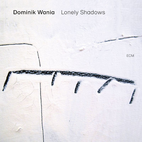 DOMINIK WANIA / ドミニク・ワニア / Lonely Shadows(LP/180g)