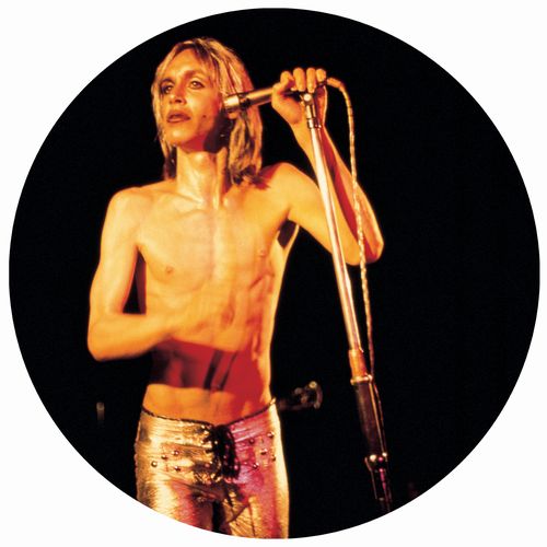 IGGY POP / STOOGES (IGGY & THE STOOGES)  / イギー・ポップ / イギー&ザ・ストゥージズ / MORE POWER - A GORGEOUS PICTURE DISC VINYL (LP)