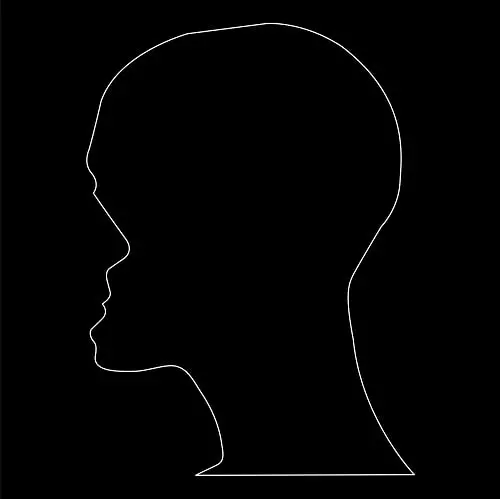 NICOLAS JAAR / ニコラス・ジャー / CENIZAS (CD)