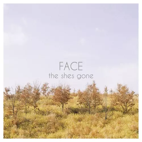 the shes gone / FACE
