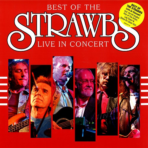 STRAWBS / ストローブス / BEST OF THE STRAWBS: LIVE IN CONCERT - LIMITED VINYL