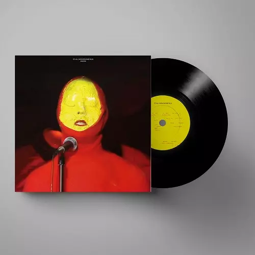ANOHNI レコード ANOHNI AND THE JOHNSONS / アノーニ・アンド・ザ・ジョンソンズ