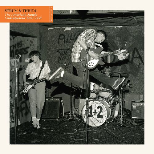 V.A / STRUM & THRUM: THE AMERICAN JANGLE UNDERGROUND 1983-1987 (2LP)