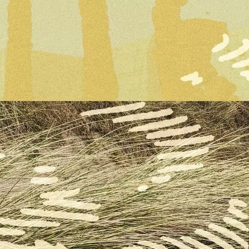 PARRIS / TERRAPIN EP