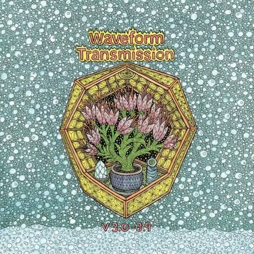WAVEFORM TRANSMISSION / V.3.0-3.9 