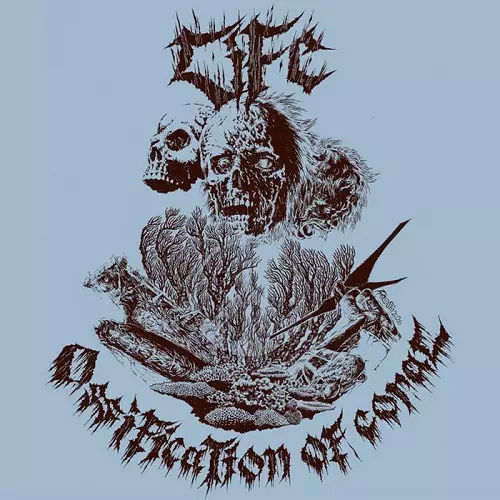 LIFE / Ossification Of Coral【LPレコード】 OSSIFICATION OF CORAL (LP/US)/LIFE (JPN/PUNK)｜PUNK｜ディスク
