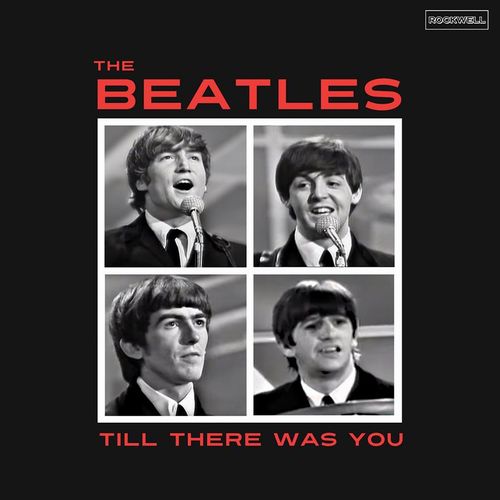 BEATLES / ビートルズ / TILL THERE WAS YOU (BLUE VINYL)